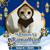 fitr20088