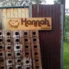 hanahgarden1