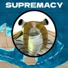 anomalocaris_supremacy