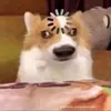 th_kay1