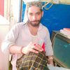 saqib.ali2296