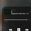 crypticnoeir