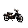 c70menolakpunah