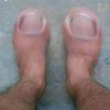 salman.miniatur