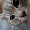ayla..jane
