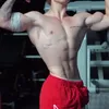 mf_j31