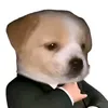 tangchoicoderpython