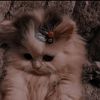 fatma.taher61