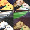 gbut021