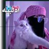 user1194123315093