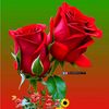 user4704065876378