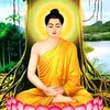 truong.tran3780