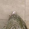 rowidamohamed3947