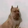 sergio_2700