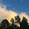 paula_307