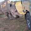 olarioisafari8