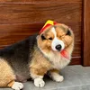 Gấu iu đâyyy