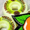 everskate.shop