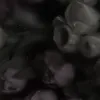 _aml1513