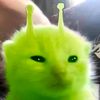 ratburger9000
