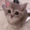 yulchik_26