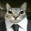 limonchik_mushinski