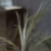nikooo_36