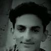 majidooo31