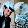 user47847016910831