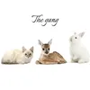 lily_08_18