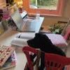 maggiesmagictutor