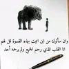 user82370163369236