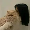 nn_zzty