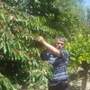 fikret.ambel