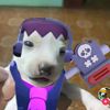 frankperrito