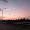 jellion8