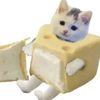 queso4302
