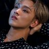 ChanieChanie