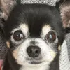 user1261921411201
