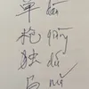 boy.ho8