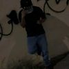 hormiga_flow18