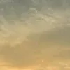 lsnvcl