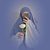 shahrzad213