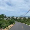 vn.trng8075