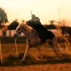 .israt8