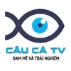 caucatv911