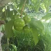 jo.mick2