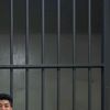 punggur11