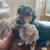 lily.bates4