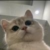 pallxzuy